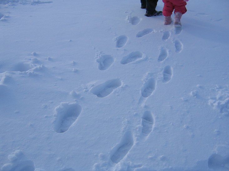 Walking far away with grandpa.