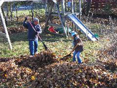 Novi helped with leaves.
